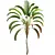 Strelitzia Nicolai Medium 3D Models 3D model small image 3