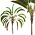 Strelitzia Nicolai Medium 3D Models 3D model small image 4