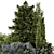 Garden Set 946 Bush Tree 3D model small image 2