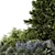 Garden Set 946 Bush Tree 3D model small image 3