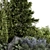 Garden Set 946 Bush Tree 3D model small image 4