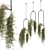 Metal Box Set Indoor Plants 3D model small image 1