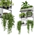 Metal Box Set 464 Plants 3D model small image 1