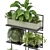 Metal Box Set 464 Plants 3D model small image 2
