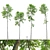 Tall Forest Trees Set 03 3D model small image 1