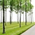 Tall Forest Trees Set 03 3D model small image 3