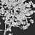 Tall Forest Trees Set 03 3D model small image 5