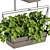 Premium Pothos Hanging Plant 3D model small image 4