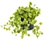 Quality Hanging Pothos Plant Décor 3D model small image 3