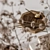 Elegant Decorative Set 36 3D model small image 5