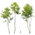 Tall Forest Trees Set 04 3D model small image 1