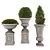  Green Oasis Plant Collection 3D model small image 1