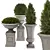  Green Oasis Plant Collection 3D model small image 2
