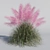 Pink Muhly Grass 3D Model 3D model small image 2