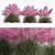 Pink Muhly Grass 3D Model 3D model small image 8