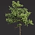 Forest Tree 3D Models Set 3D model small image 2