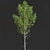 Forest Tree 3D Models Set 3D model small image 3