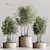 Modern Indoor Plant Collection 2015 3D model small image 1