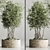 Modern Indoor Plant Collection 2015 3D model small image 2