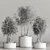 Modern Indoor Plant Collection 2015 3D model small image 3