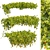 Quality Plant Collection Model 3D model small image 1