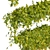 Quality Plant Collection Model 3D model small image 3