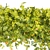 Quality Plant Collection Model 3D model small image 4