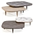 Italian Walnut Coffee Table 3D model small image 2
