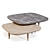 Italian Walnut Coffee Table 3D model small image 3
