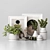Antialiasing Decor Model - Stack Not Collapsed 3D model small image 1