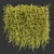 Outdoor Ivy Leaf Bush 3D 3D model small image 2