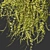 Outdoor Ivy Leaf Bush 3D 3D model small image 6