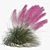 Pink Muhly Grass 3D Model 3D model small image 3