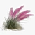 Pink Muhly Grass 3D Model 3D model small image 4