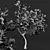 Premium Ficus Carica Feige Fig 3D model small image 4