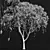 
Exquisite Mangifera Indica Mango Tree 3D model small image 5