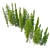 Abies Fir Tree Model Pack 3D model small image 4