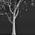Title: High-Detail Mangifera Indica Model 3D model small image 5