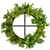 Volume 380 Hanging Pothos Plant 3D model small image 2