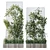 Grid Plant Set with Wooden Box 3D model small image 2