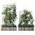 Grid Plant Set with Wooden Box 3D model small image 3
