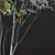 Ziziphus Jujuba Chinesische Dattel Plant 3D model small image 4