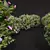 Cistus Albidus Zistrose Plant Model 3D model small image 4