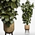 Ficus 2015 3D Model Render 3D model small image 1