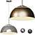 Metal Pendant Lighting Fixture Unique Finishes 3D model small image 1