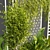 Urban Plant Collection Pack 3D model small image 5