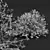 Fragrant Yellow Evergreen Shrub Model 3D model small image 4