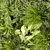 Vertical Leaf Plant Collection - Premium Quality 3D model small image 2
