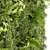 Vertical Leaf Plant Collection - Premium Quality 3D model small image 4