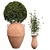 Botanical Beauties in Clay Pots 3D model small image 3